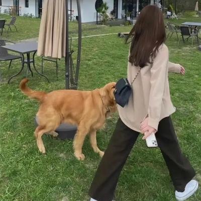 与一位女士合影